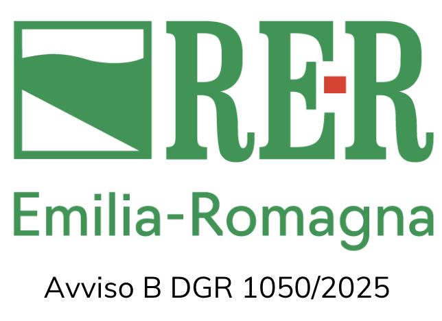Bando Regione Emilia Romagna Avviso B DGR 1050/2025